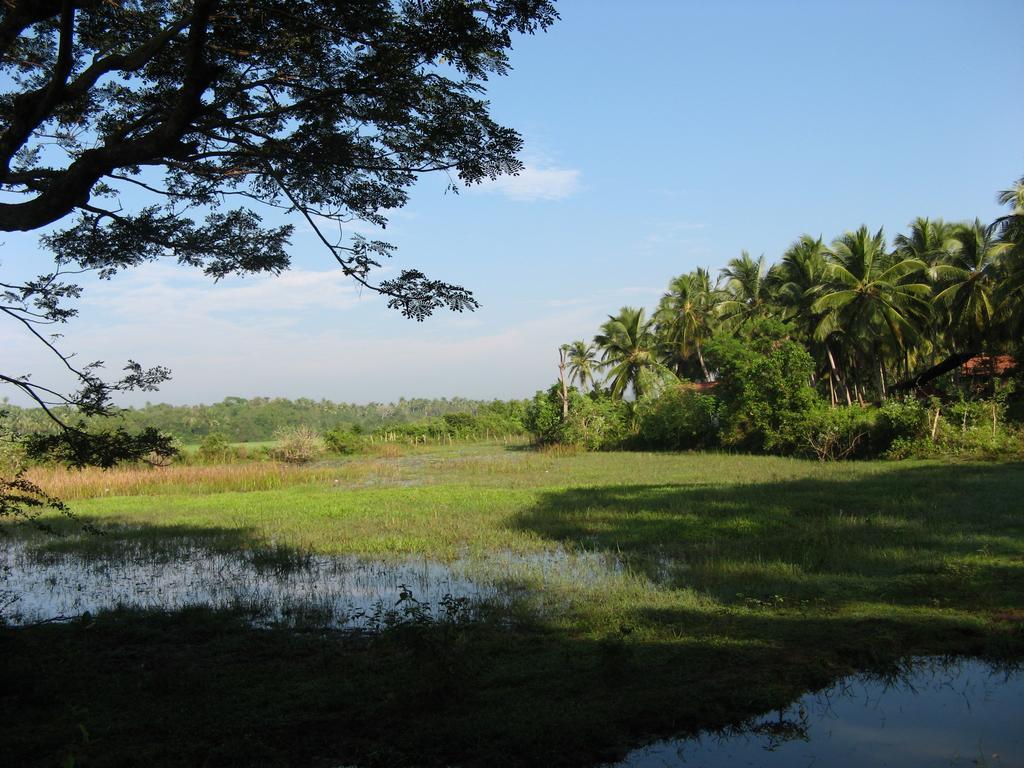 Villa Sunrise Tangalle Dış mekan fotoğraf